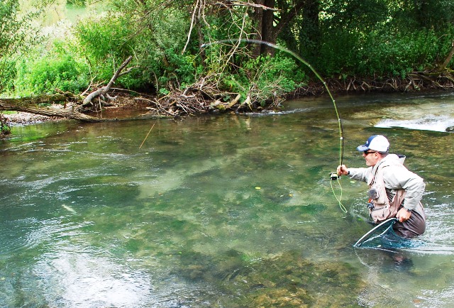 Prijatelji su “krivi” što sam mušičar