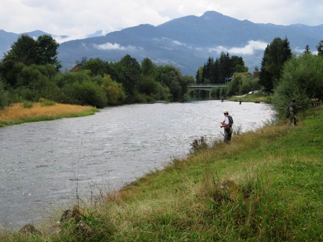 teren web