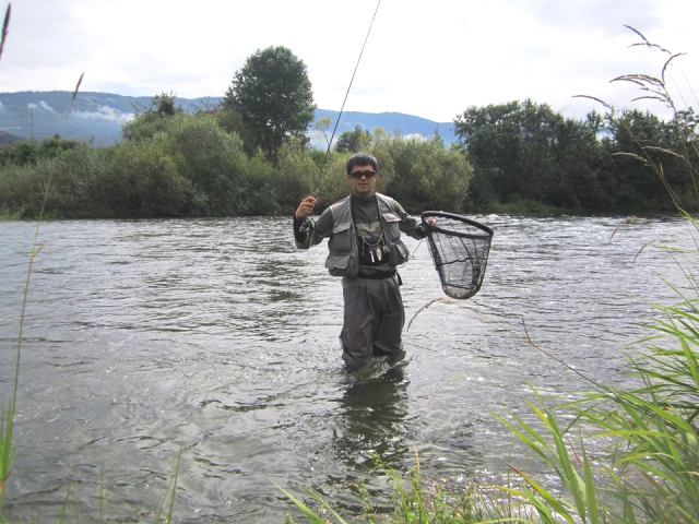 teren web3