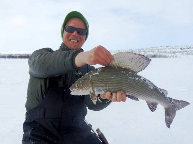 Lipljan 60cm – Aki Huhtanen