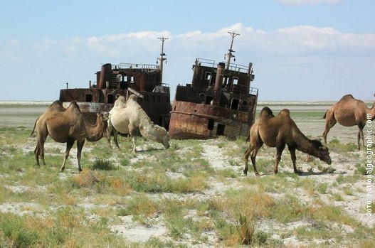 Aralsko more, od jezera do pustinje