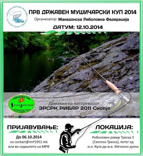 Plakat web