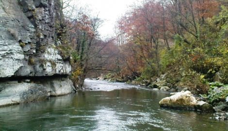 Poribljavanje reka u nacionalnom parku Golija