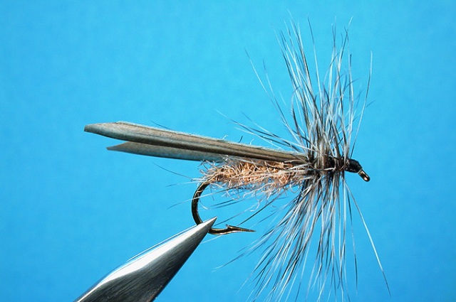 Mala smeđa kamenjarka