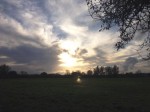 test web0