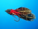 Brown Partridge Bullhead web