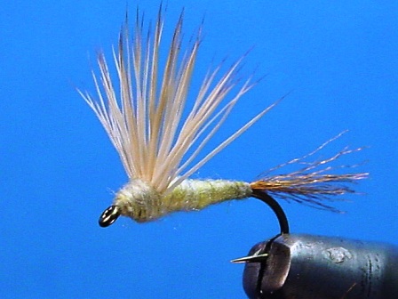 Musice od sparkle yarna web