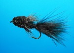 Shenks Sculpin web