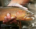 What-Fly-Fishing-Teaches-Us-2015-Wall-Calendar-Willow-Creek-Press-MegaCalendars-9781623433963-Front.jpg