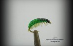 Net Builder Caddis – Žakula Mladen III place