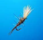 Shaving Brash Fly web