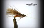 Summer Caddis – Žakula Mladen III place