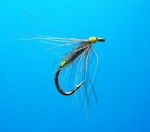 Waterhen Bloa web