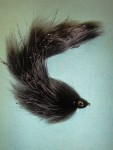 strimer web1