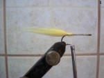 strimer web1