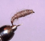 Avon-Killer-Bug web