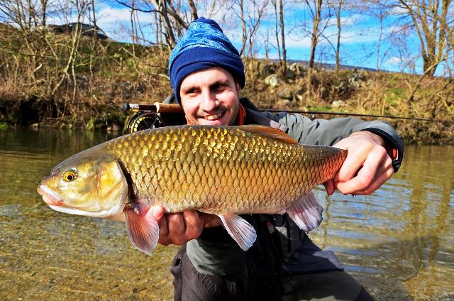 Klen – Stanislav Mankov