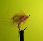 loop caddis web