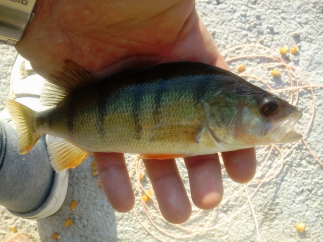 Photo0112