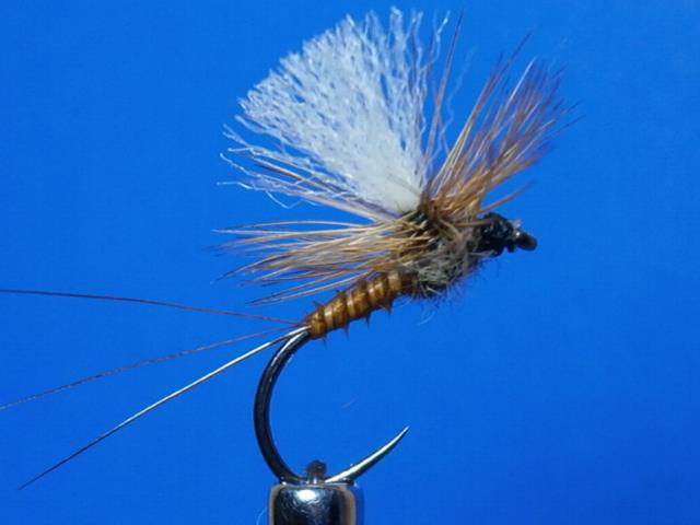 18194_823415944399144_8503550580920416037_n