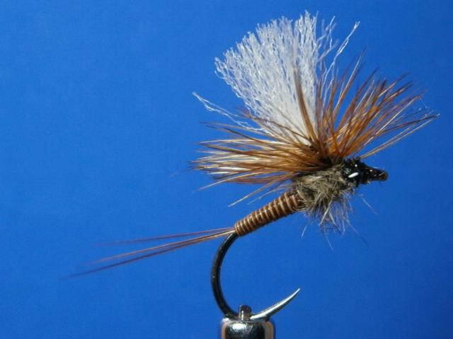 1975037_823415917732480_1675581067718497986_n