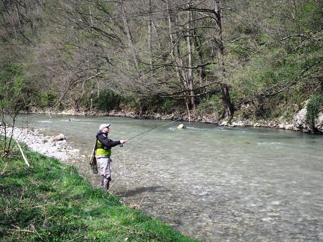 Bojan Cvetković Niš web