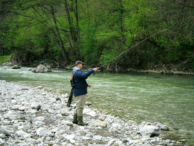 Hurić web