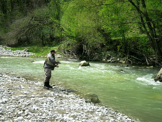 Latović web