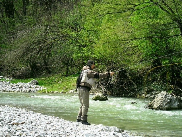 Oliver Kuzmanović web