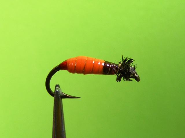 9.-Narandzasto-braon larva od balona web