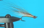 CG strimer web1