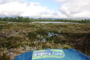 graylingland web