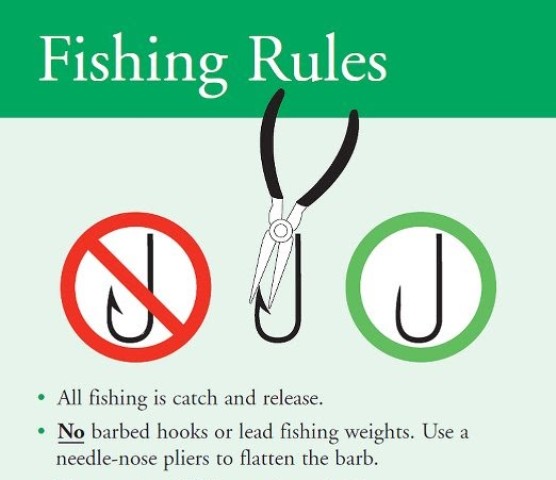 fishing rules