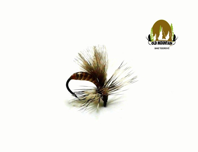 nanjnoviji avg 2016 mali mrav w