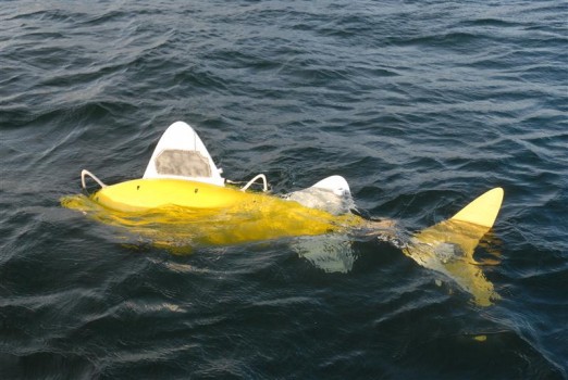 Riba robot za održavanje čistoće mora