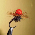 Musicarenje u Ravnici musice web