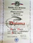 slovenija_2015 web