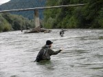 Slovenija web