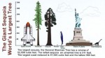 general-sherman-tree-comparison