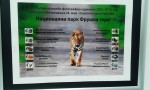 izlozba web21