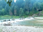 Biostica web