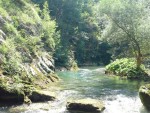 Biostica web4