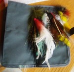 Sameo wallets web11