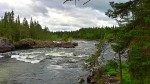 Vidaelven web1
