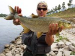 bucov Rajna web2