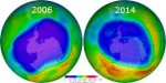 index web