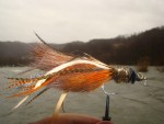 strimer 1