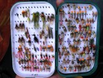 StoianFilipovFlyBox-2