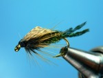 Zug Bug web