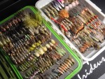 irideus web2